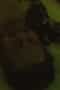 o4bLToxASFeHWA3cRUTvevkAgkh